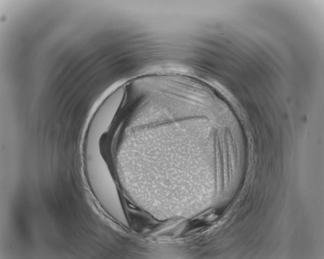 X0000086290864200704271800