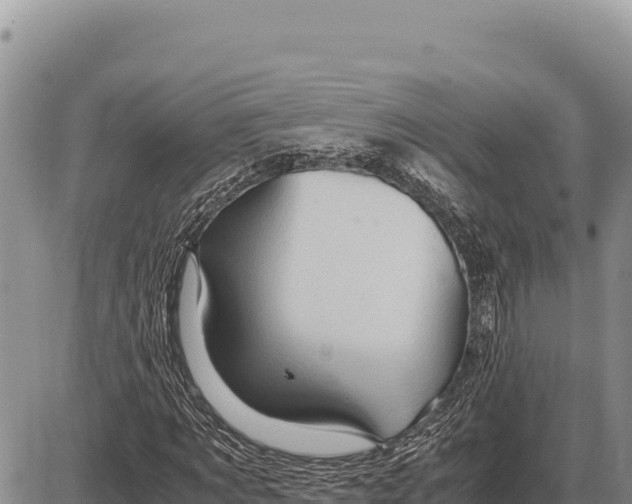 X0000086290869200704271759