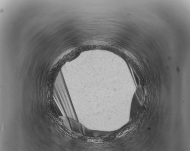 X0000086290872200704271759