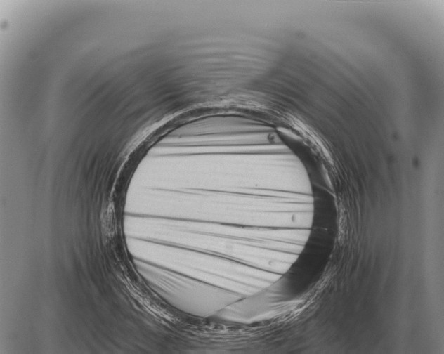 X0000086290876200704271759