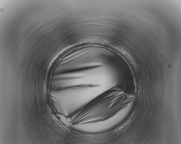 X0000086290880200704271759