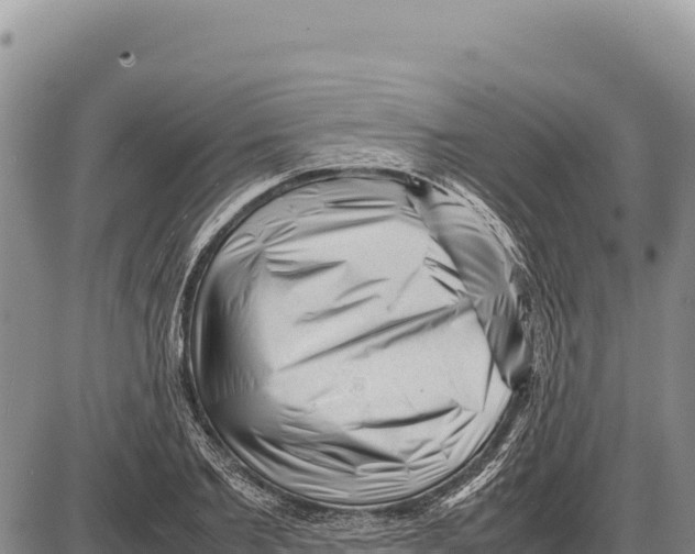 X0000086290885200704271759