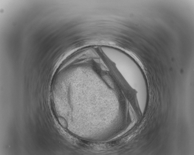 X0000086290895200704271759