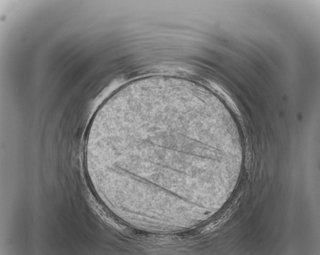 X0000086290899200704271759