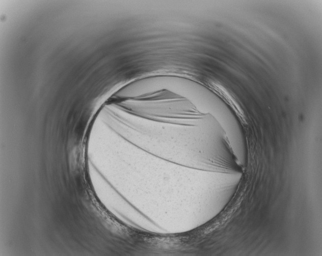 X0000086290900200704271759