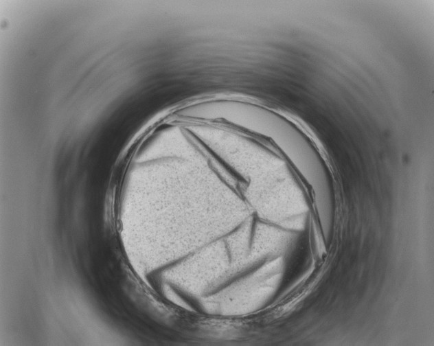 X0000086290910200704271759