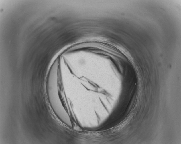 X0000086290912200704271759