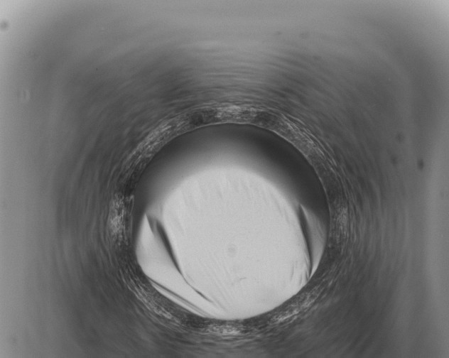 X0000086290914200704271758