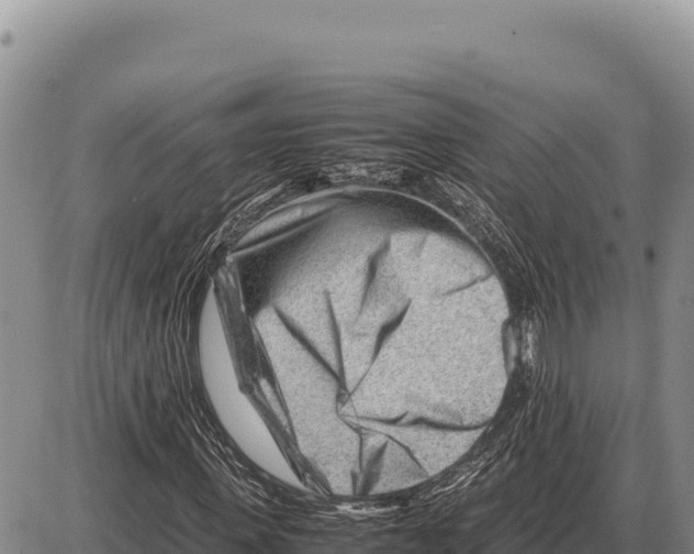 X0000086290915200704271758