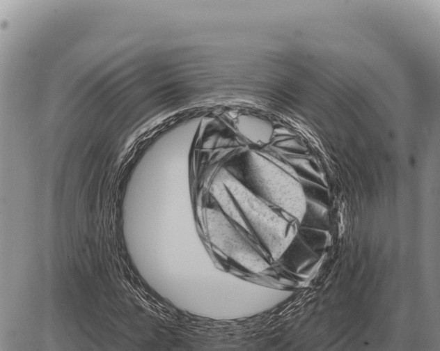 X0000086290920200704271758