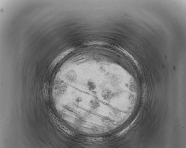 X0000086290921200704271758
