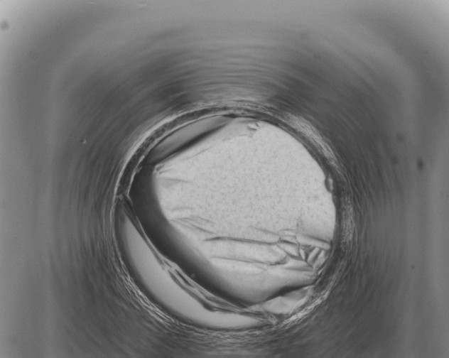 X0000086290924200704271758