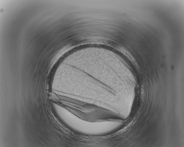 X0000086290926200704271758