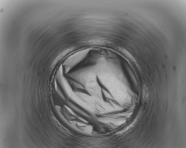 X0000086290930200704271758