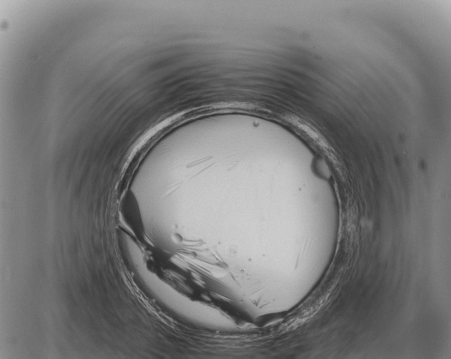X0000086290933200704271758