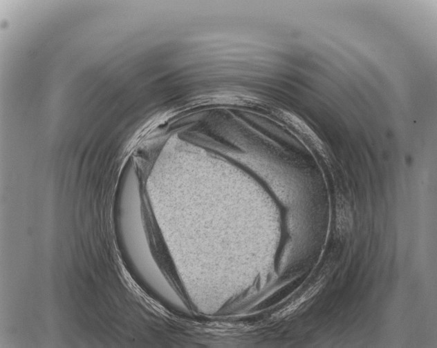 X0000086290938200704271758