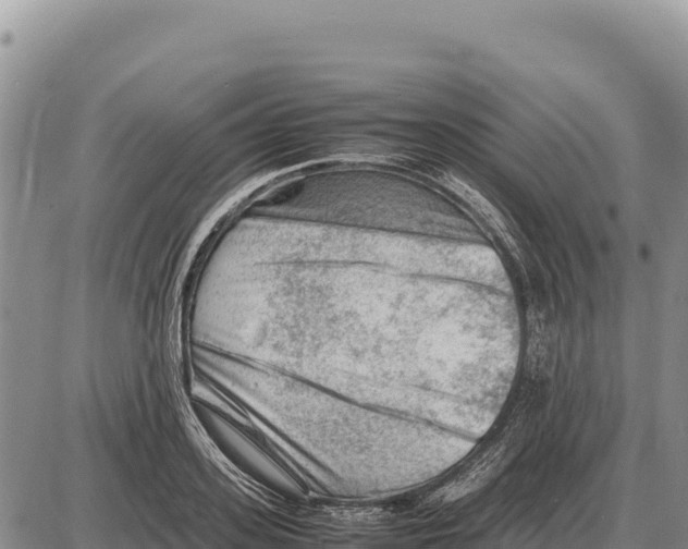 X0000086290939200704271758