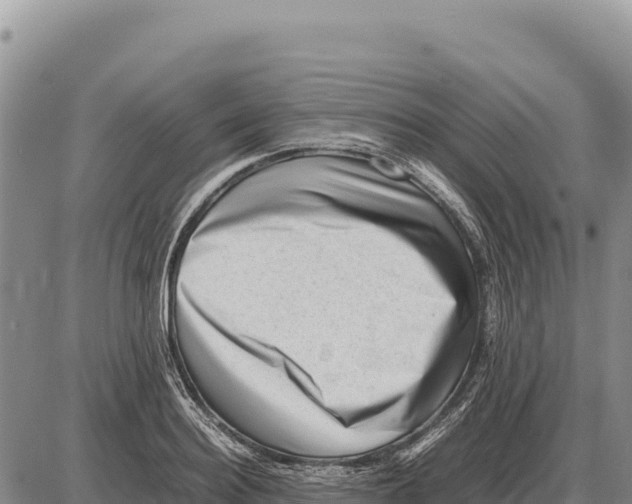 X0000086290940200704271758