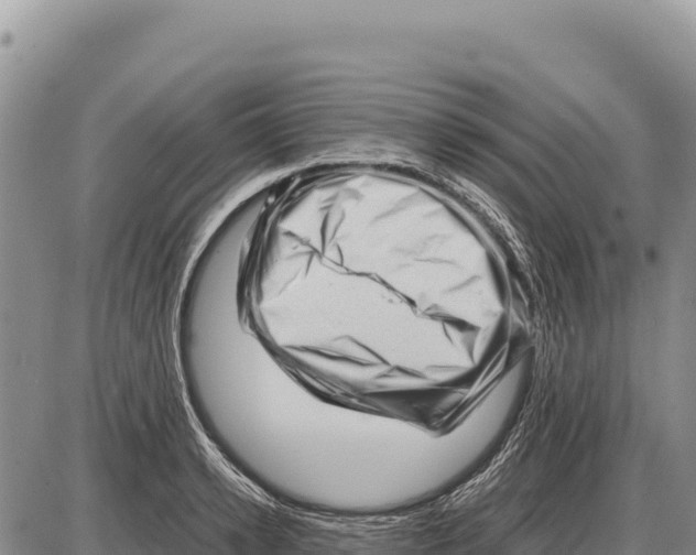 X0000086290942200704271758