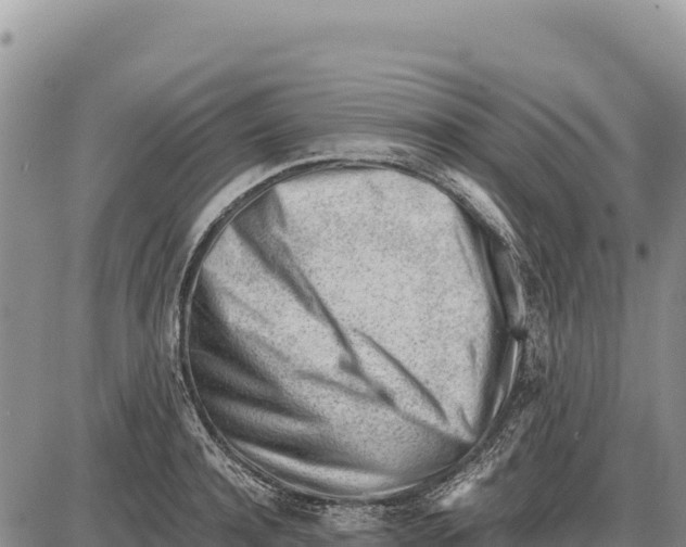 X0000086290944200704271758