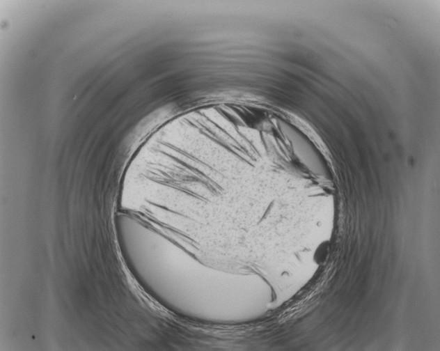 X0000086290946200704271759