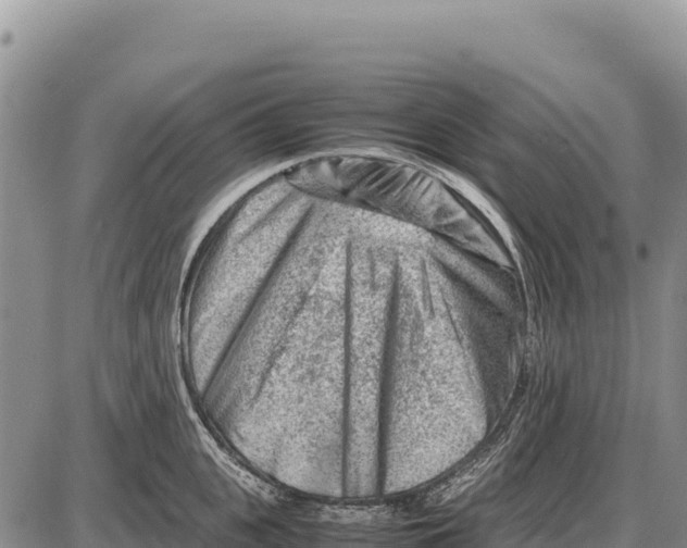 X0000086290951200704271759