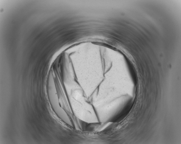 X0000086290960200704271759