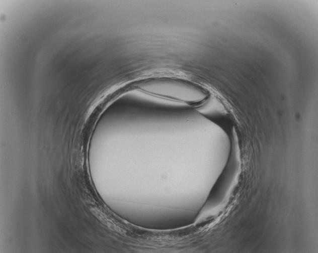 X0000086290973200704271758
