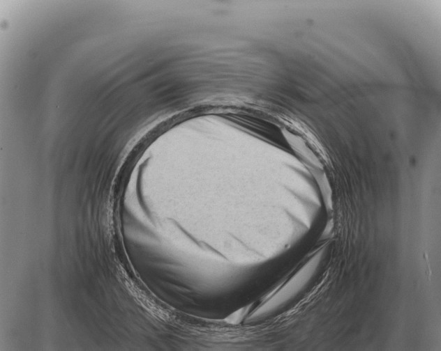 X0000086290976200704271758