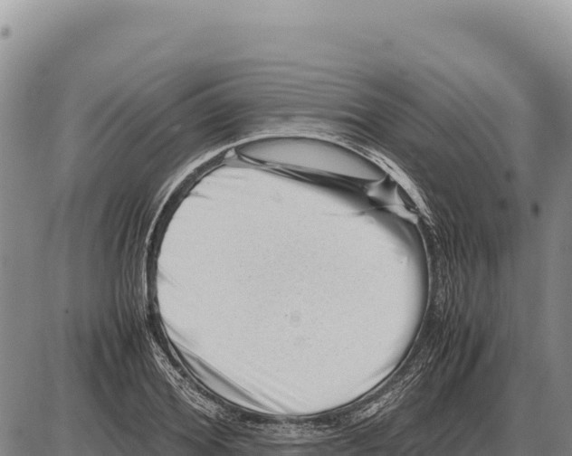 X0000086290980200704271758