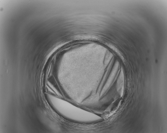 X0000086290983200704271758