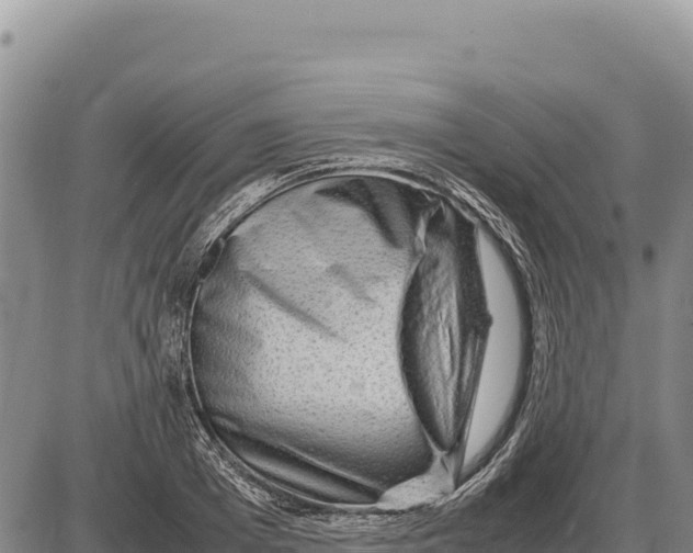 X0000086290985200704271758