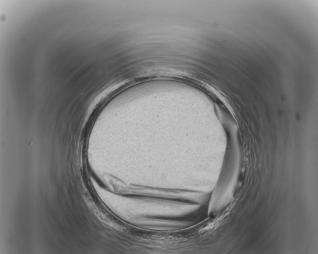 X0000086290987200704271758
