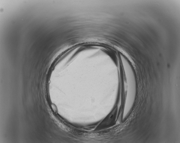 X0000086290991200704271757