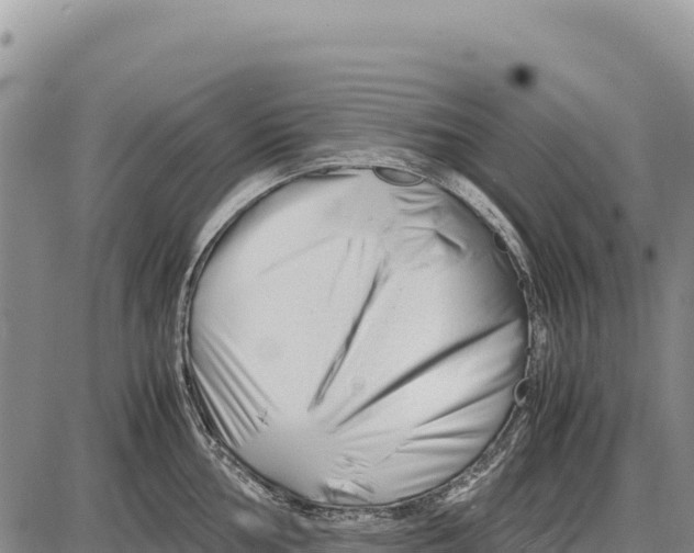X0000086291002200704271757