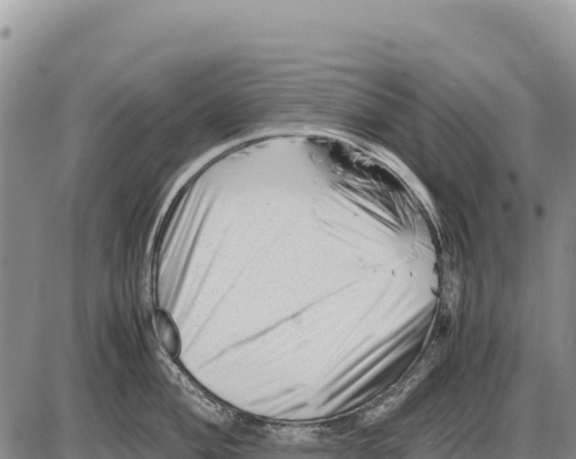 X0000086291004200704271757