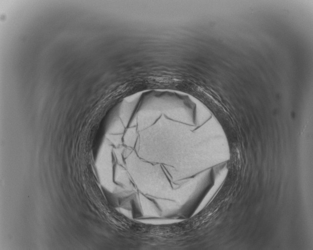 X0000086291009200704271756