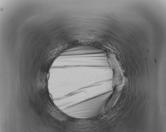 X0000086291012200704271756