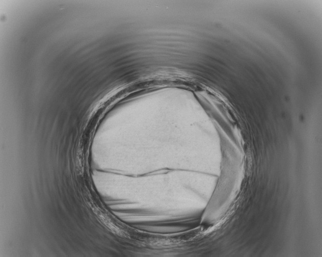 X0000086291018200704271757