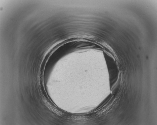 X0000086291020200704271757