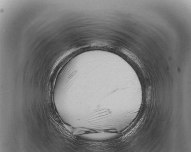 X0000086291021200704271757