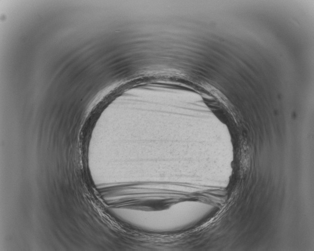 X0000086291022200704271757