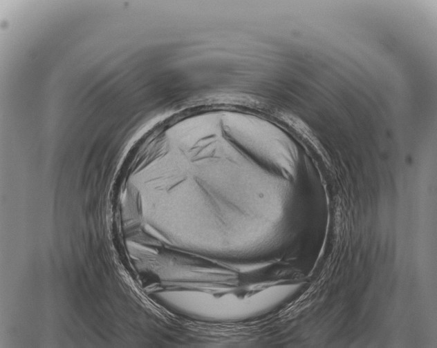 X0000086291024200704271757