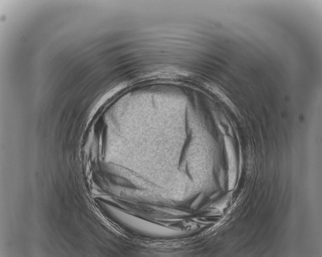 X0000086291026200704271757