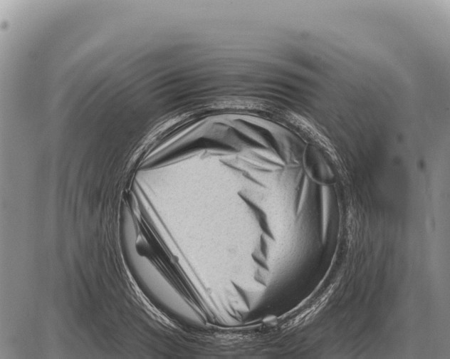 X0000086291033200704271757