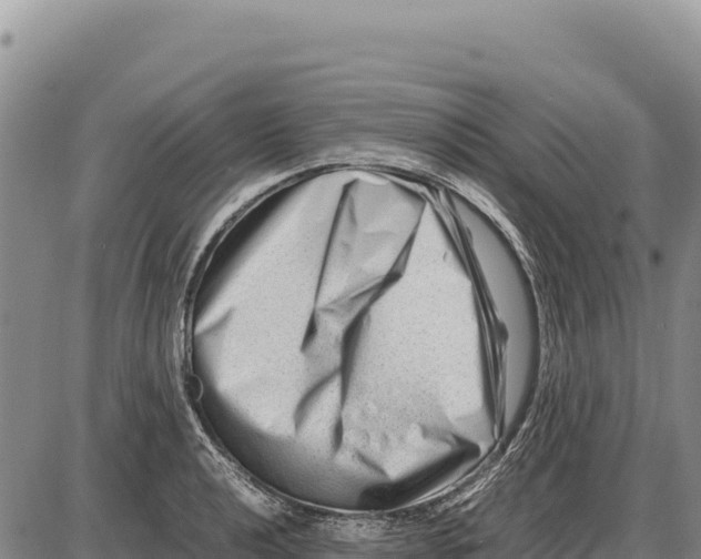X0000086291040200704271757
