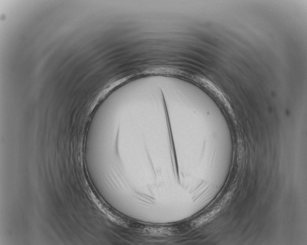X0000086291041200704271757