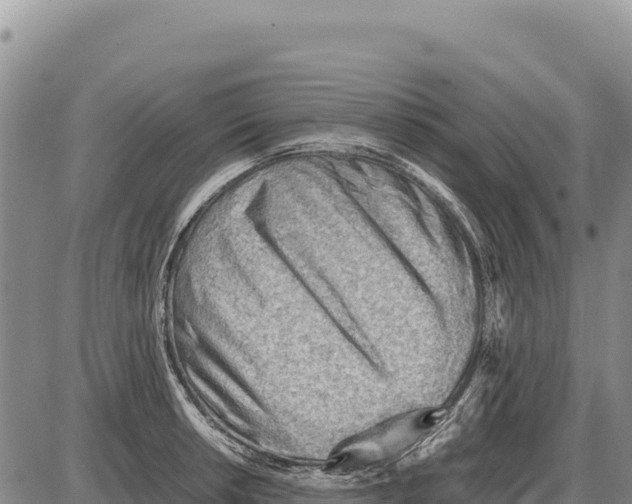 X0000086291042200704271757