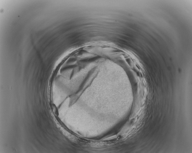 X0000086291046200704271757