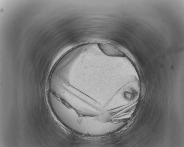 X0000086291048200704271757